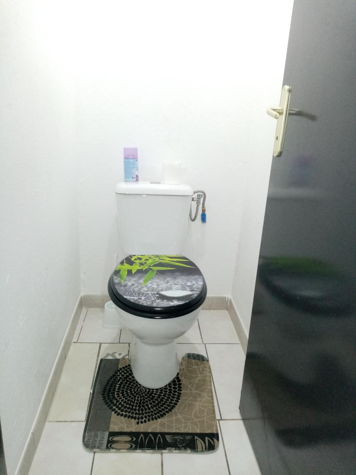 Le T2 Tranquille Apartamento Kourou Exterior foto